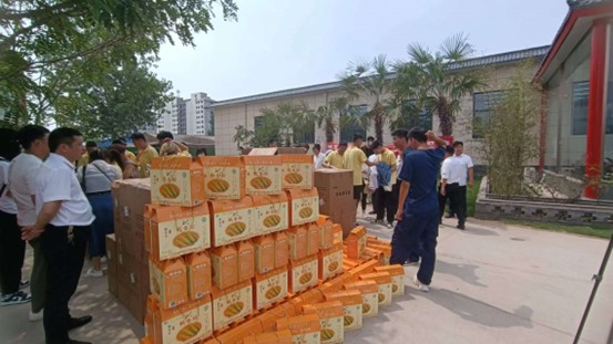 图片11.jpg